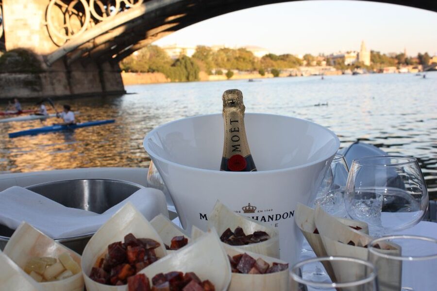 Seville: Private Boat Tour with Paella Lunch and Drinks - What the sightseeing commentary adds