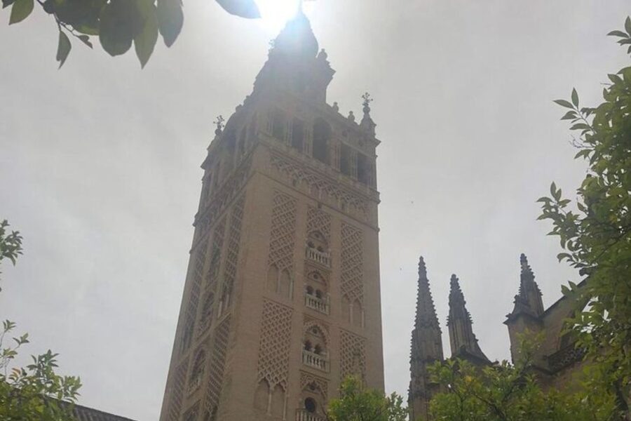 Seville: Private custom tour with a local guide - What the guide adds to the walk