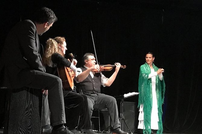 Seville Pure Flamenco Tour - What the Seville Pure Flamenco Tour actually offers