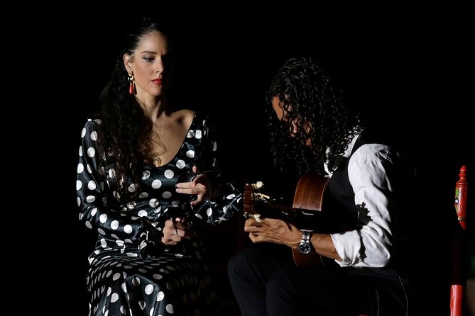 Seville Pure Flamenco Tour - What kind of flamenco night is this?