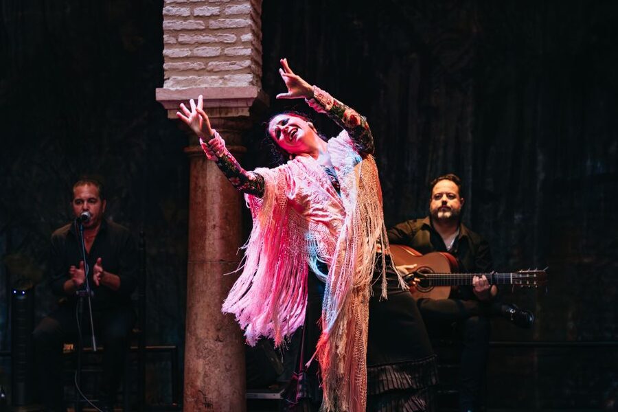 Seville: Puro Flamenco Show with Optional Museum Ticket - Who will enjoy Puro Flamenco most
