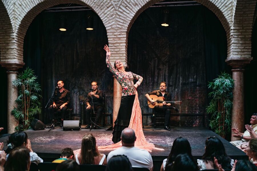 Seville: Puro Flamenco Show with Optional Museum Ticket - Choosing the museum and show combination