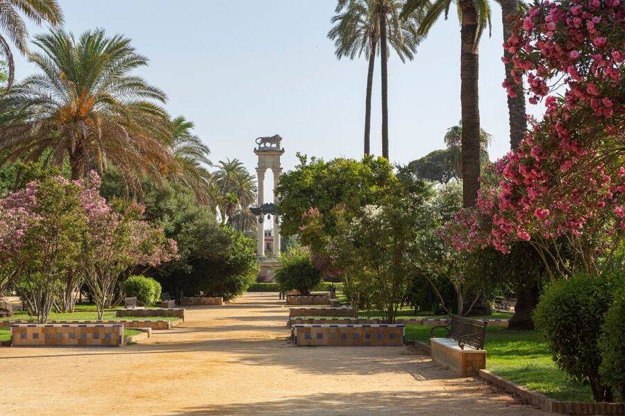 Seville: Relaxing City Bike Tour with a Tour Guide - Orange trees and the Jardines de Murillo