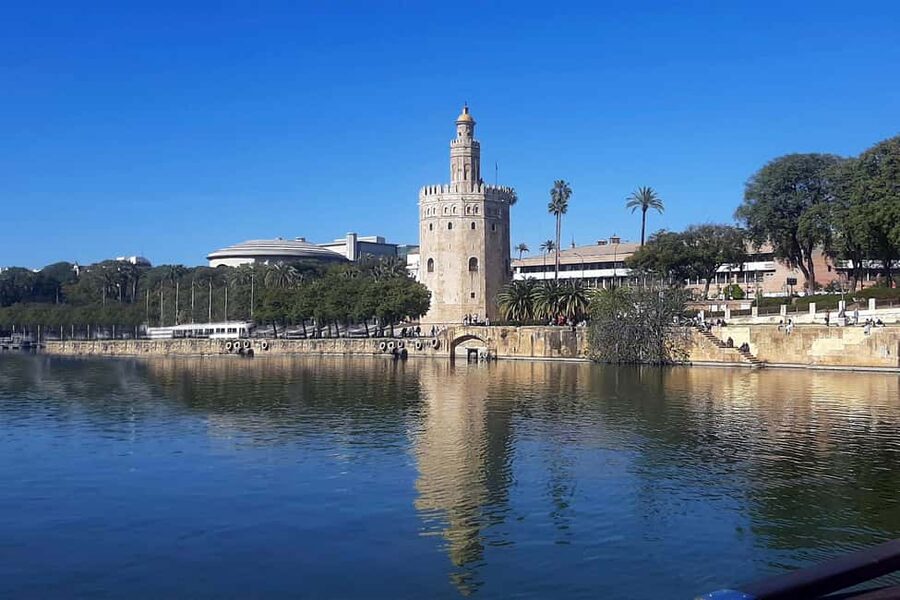 Seville: Restaurant boat ride on the Guadalquivir River with lunch/dinner - What arrives on your table