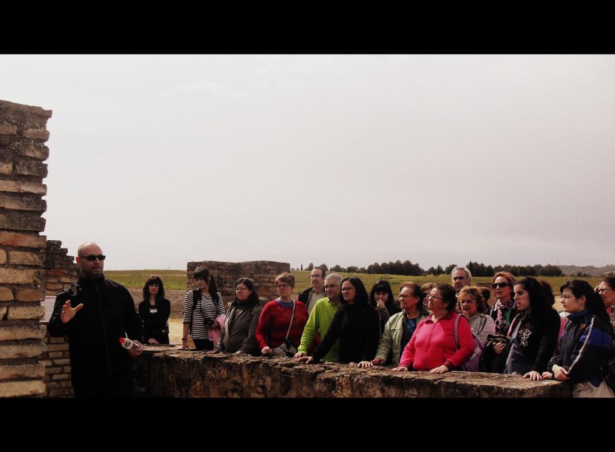 Seville: Roman City of Itálica 2 Hour Tour - Key Points About the Itálica Roman City Tour