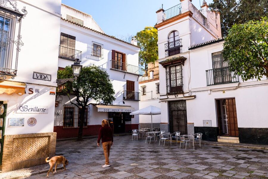 Seville: Santa Cruz Old Jewish Quarter Walking Tour - Why Santa Cruz makes a good first walk in Seville