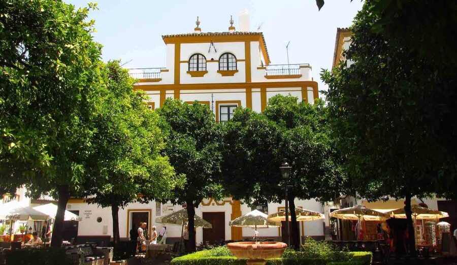 Seville: Santa Cruz Old Jewish Quarter Walking Tour - Meeting your guide on Avenida de la Constitución