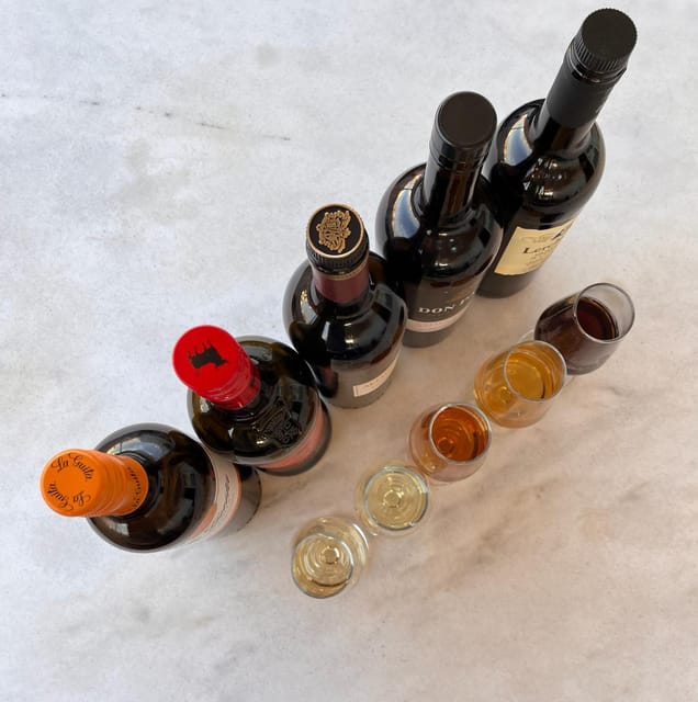 Seville: Sherry Wine Tasting with Light Snacks - What the 1.5-hour schedule feels like