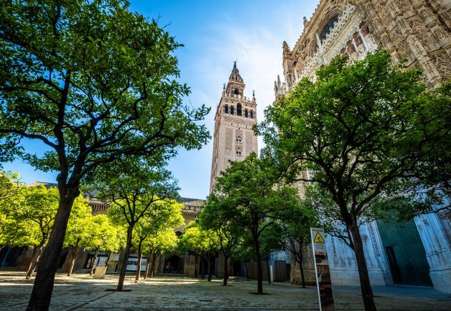 Seville: Small-Group Cathedral and Giralda Tour with Tickets - Inside the vast Gothic cathedral