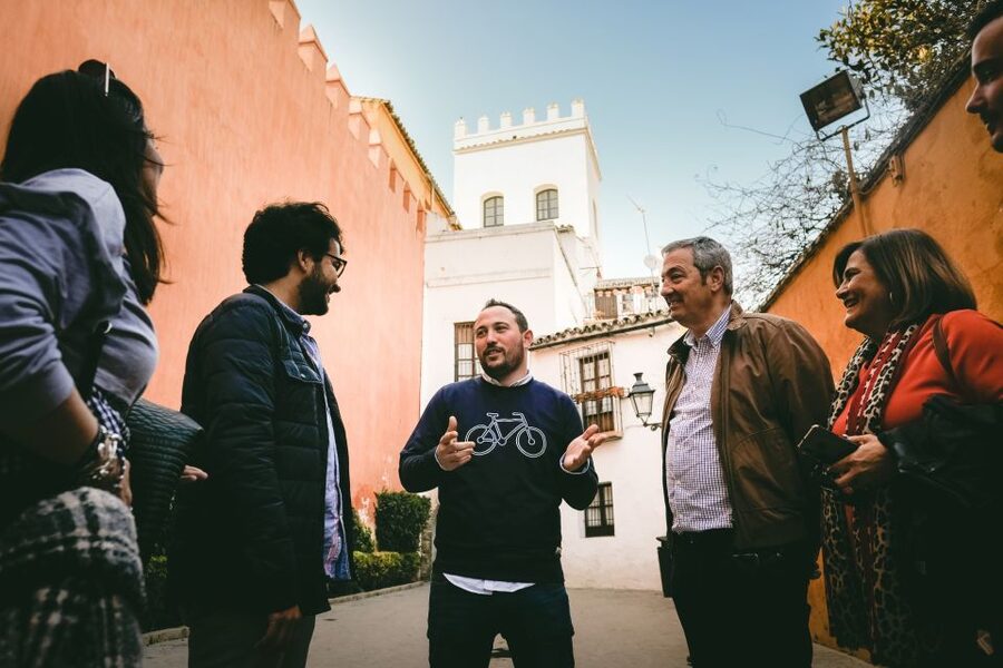 Seville: Small-Group Jewish Quarter Discovery Walking Tour - Plaza del Triunfo and Patio de Banderas