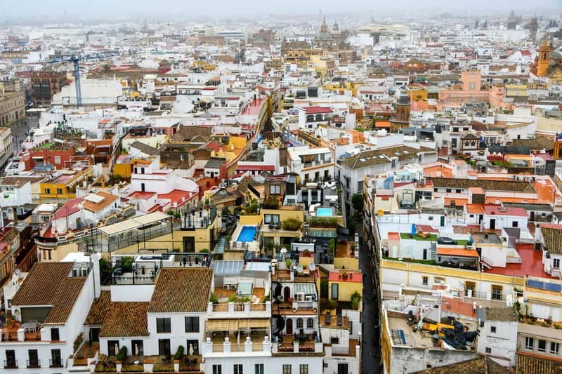 Seville: Sunset Roof Top Walking Tour - Starting at Plaza Nueva with Seville above you