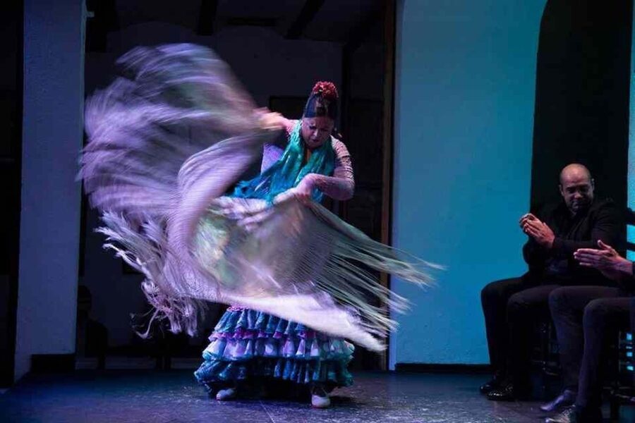 Seville: Tapas Dinner and Flamenco Show - Practical details that matter before you go