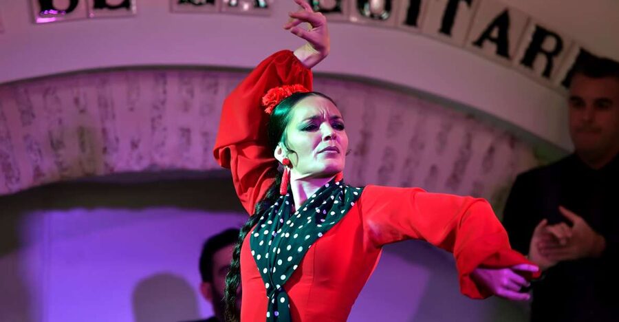 Seville: Ticket to Flamenco Show at La Casa de la Guitarra - A one-hour performance built around three artists