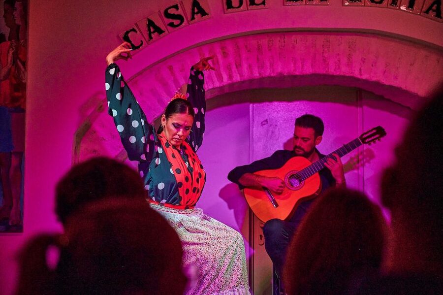 Seville: Ticket to Flamenco Show at La Casa de la Guitarra - Who will enjoy this flamenco show most?