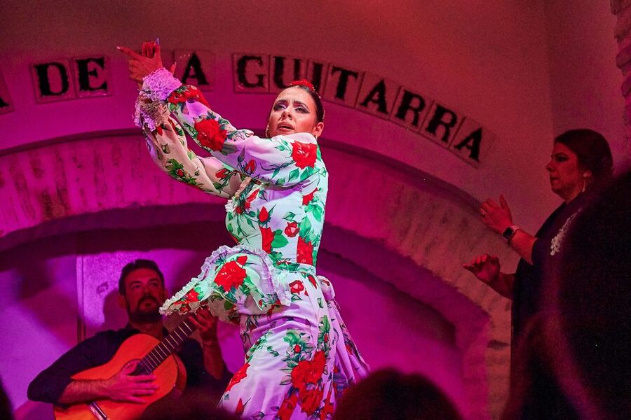 Seville: Ticket to Flamenco Show at La Casa de la Guitarra - What I would watch for on the night