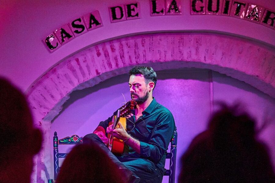 Seville: Ticket to Flamenco Show at La Casa de la Guitarra - The short introduction before the music