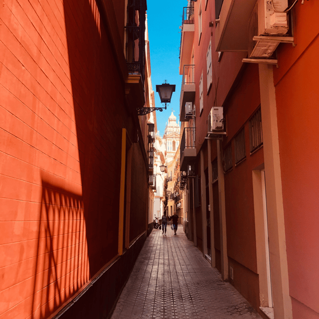Seville: Tiny-Group Jewish Quarter Discovery Walking Tour - Who Should Book This Santa Cruz Walk?