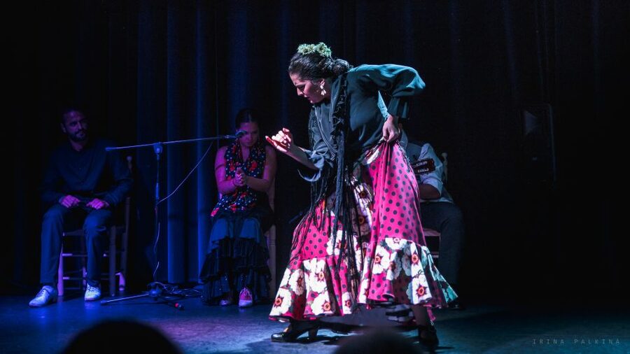 Seville: Traditional Flamenco Show in Triana - Two dancers bring different energy to the stage