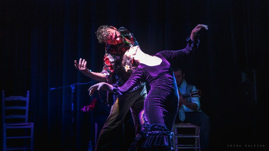 Seville: Traditional Flamenco Show in Triana - What the small room is really like