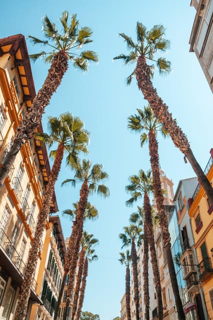 Seville: Transfer to Málaga with visit to Ronda - From Seville pickup to the mountain road