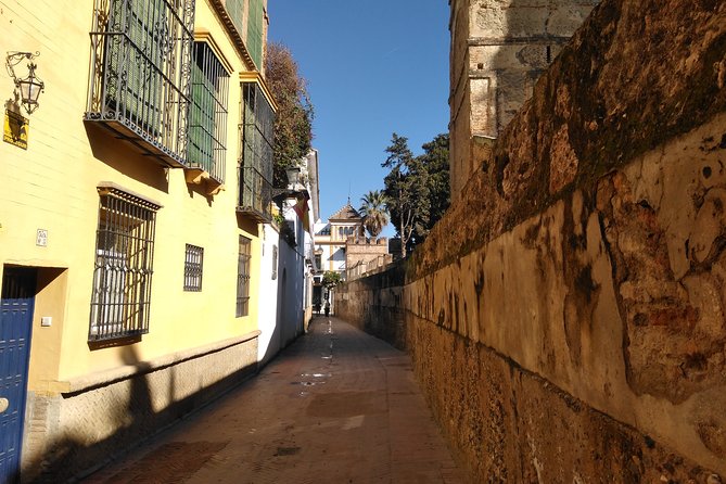 Seville, walk through the heart of the city - Setas de Sevilla: ending with Seville’s modern side