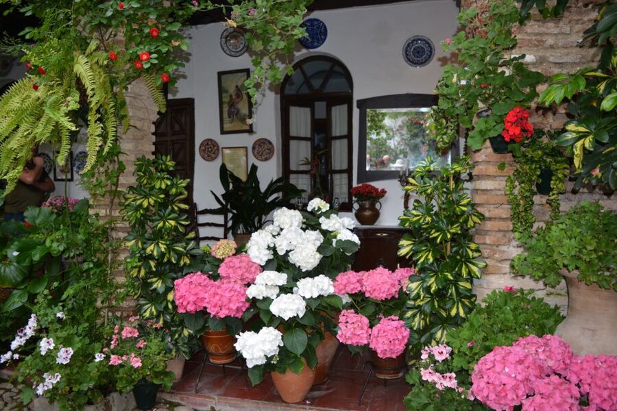 Sights, Sounds, and Scents of Córdoba's Patios - Key points to know before booking