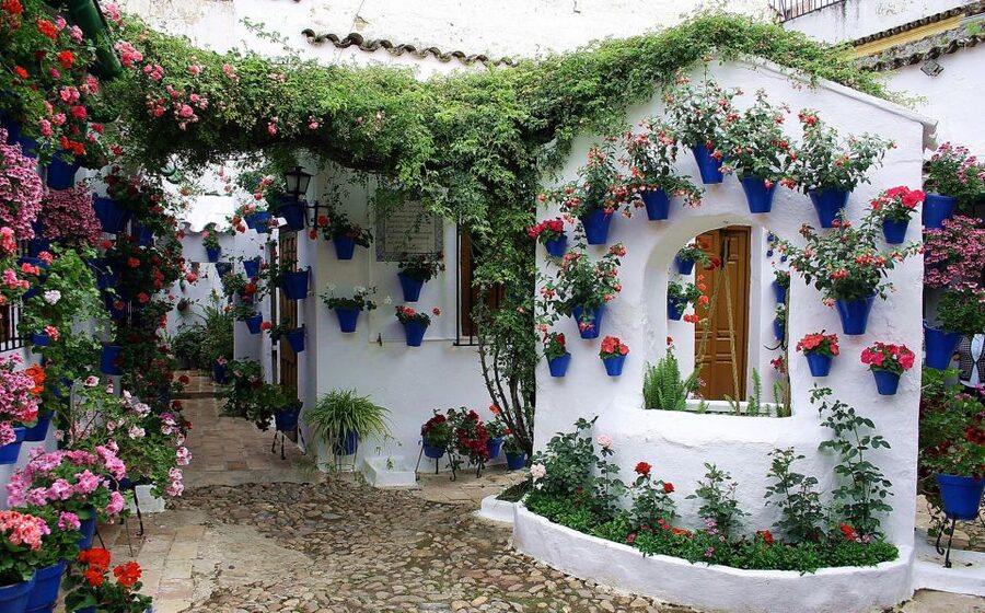 Sights, Sounds, and Scents of Córdoba's Patios - Santa Marina, San Agustín, and San Lorenzo by foot