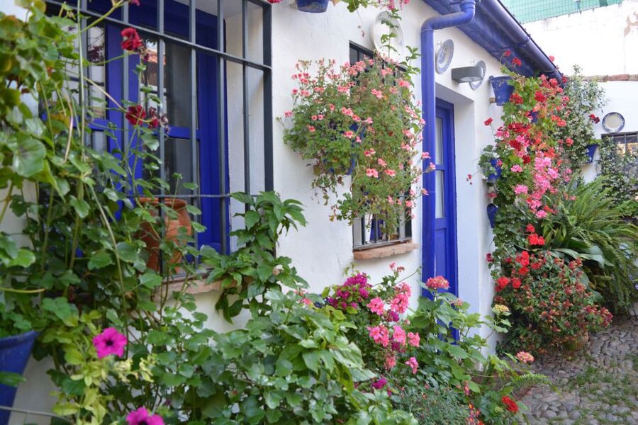 Sights, Sounds, and Scents of Córdoba's Patios - Seeing eight to twelve competition patios