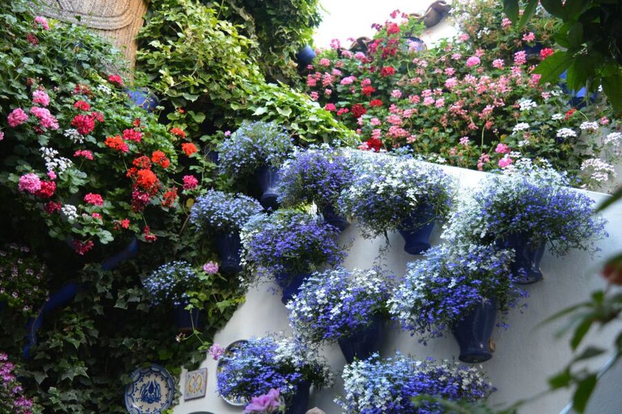 Sights, Sounds, and Scents of Córdoba's Patios - The evening setting is part of the tour