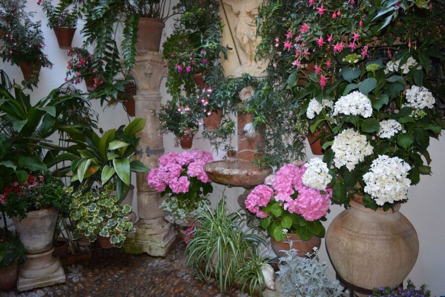 Sights, Sounds, and Scents of Córdoba's Patios - Finishing with Montilla-Moriles Fino