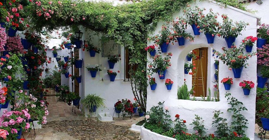Sights, Sounds, and Scents of Córdoba's Patios - Is $26 a fair price?