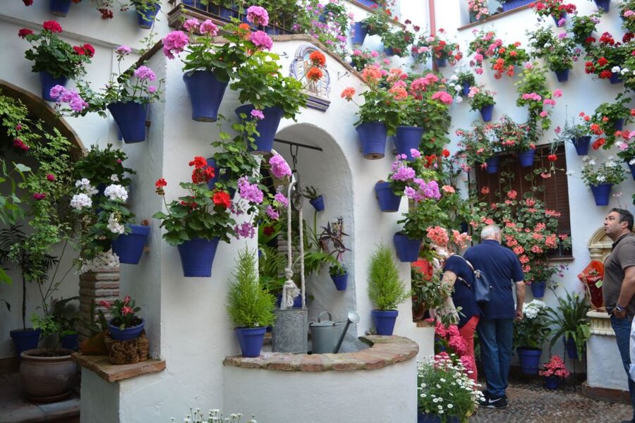 Sights, Sounds, and Scents of Córdoba's Patios - Should you book Sights, Sounds, and Scents of Córdoba’s Patios?