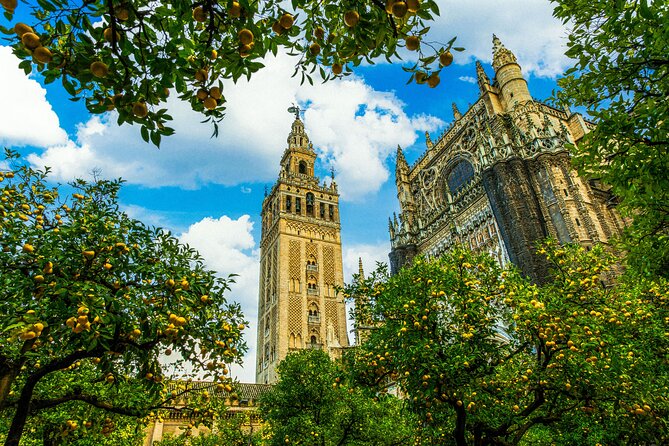 Skip the Line Seville Alcázar, Cathedral & Giralda Guided Tour - Climbing the Giralda by ramps