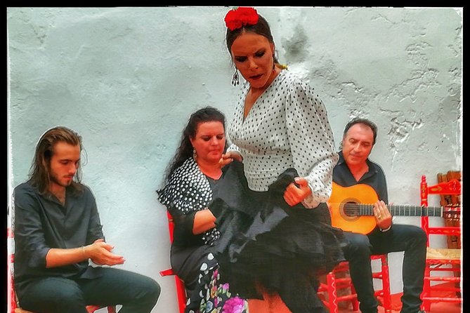Skip the Line: Tablao Flamenco Pura Esencia Ticket - Comfort, children, and access