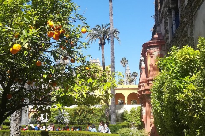 Small Group Tour of the Royal Alcazar of Seville - What You See Inside the Mudejar and Gothic Palaces