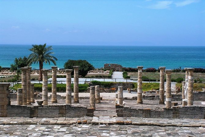 Spain's Best Beaches Day Trip from Seville - The early drive toward Cádiz