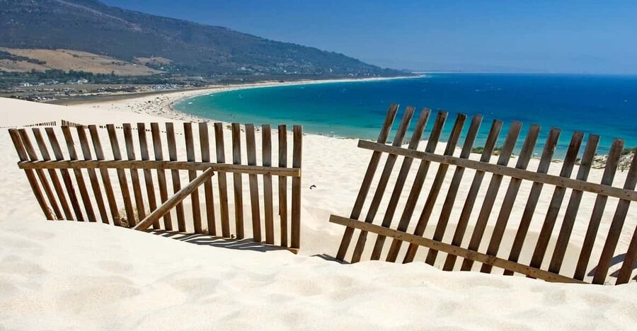 Spain's Best Beaches: Day-Trip from Seville - Lunch, local fish, and the real cost