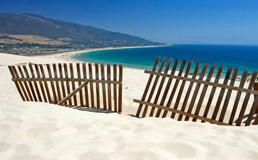 Spain's Best Beaches: Day-Trip from Seville - The Ruta del Toro on the way home