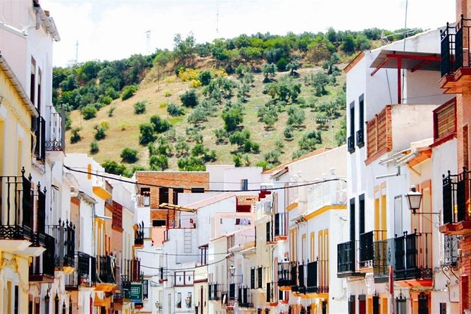 Spend a day in the White Villages from Cadiz - Setenil de las Bodegas and homes beneath the rock