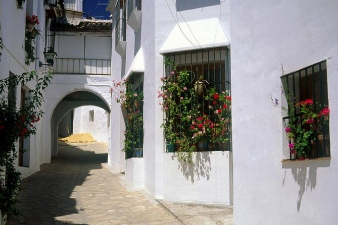 Spend a day in the White Villages from Cadiz - What the private format gives you