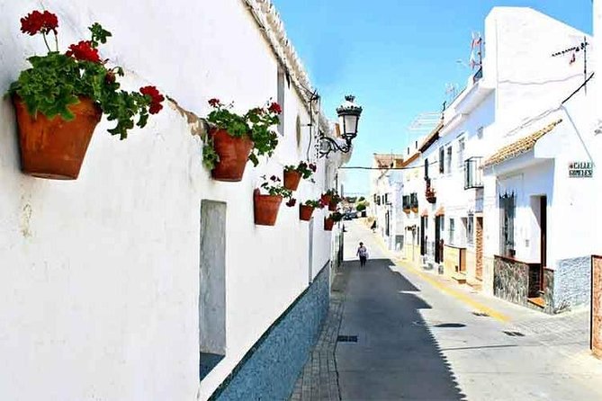 Spend a day in the White Villages from Cadiz - Who will enjoy this day most