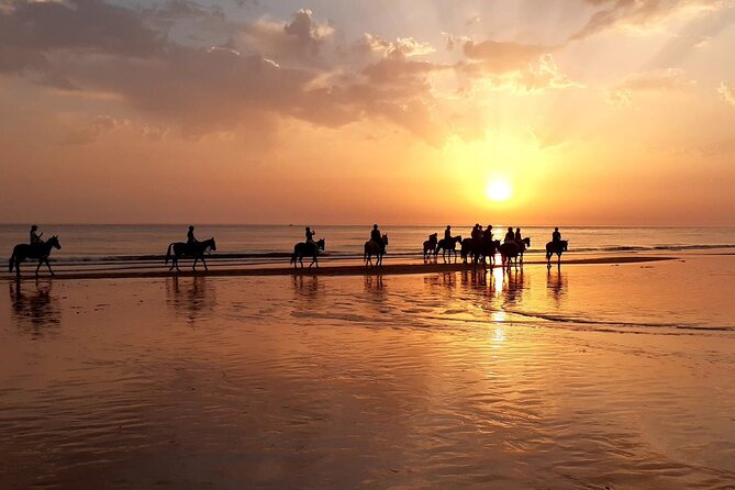 Stunning Sundown Beach Ride on horseback! MINIMUM 2 PARTICIPANTS - Key points at a glance