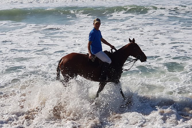 Stunning Sundown Beach Ride on horseback! MINIMUM 2 PARTICIPANTS - Is $67.88 a fair price?