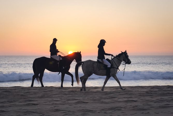 Stunning Sundown Beach Ride on horseback! MINIMUM 2 PARTICIPANTS - Tips for a smoother visit