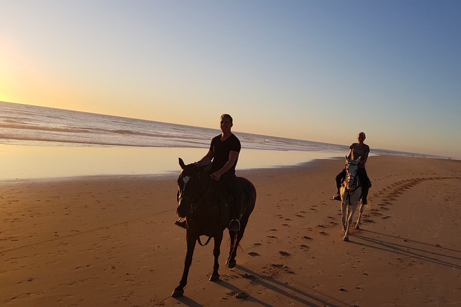 Stunning Sundown Beach Ride on horseback! MINIMUM 2 PARTICIPANTS - The horses: polo ponies and Spanish breeds