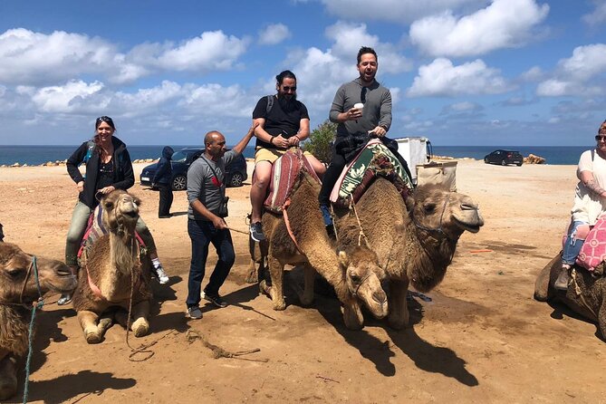 Tangier Day Trip from Seville - The real price and overall value