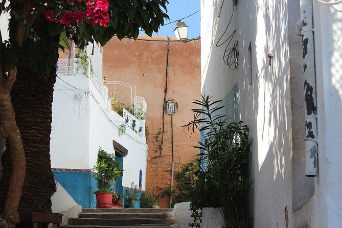 Tangier Day Trip from Seville with Lunch Included & Local Guide - Lunch, music, and the shopping stops