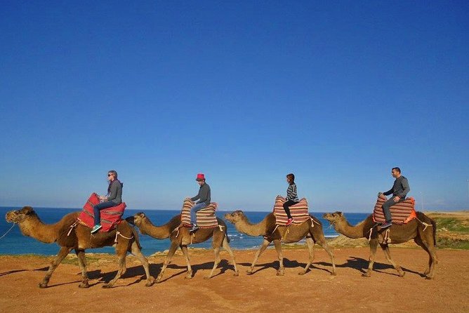 Tangier in Morocco private tour from Seville all inclusive - Meeting your Tangier guide at the port