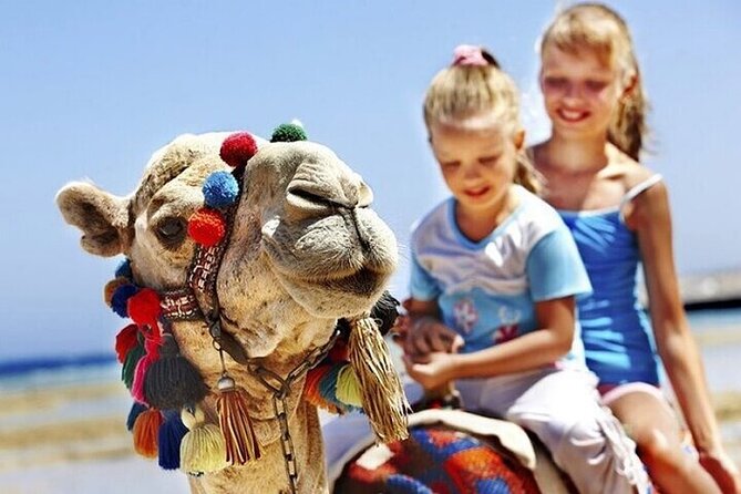 Tangier Luxury Private Guided Day Tour from Cadiz All Inclusive - Three hours in the Tangier medina