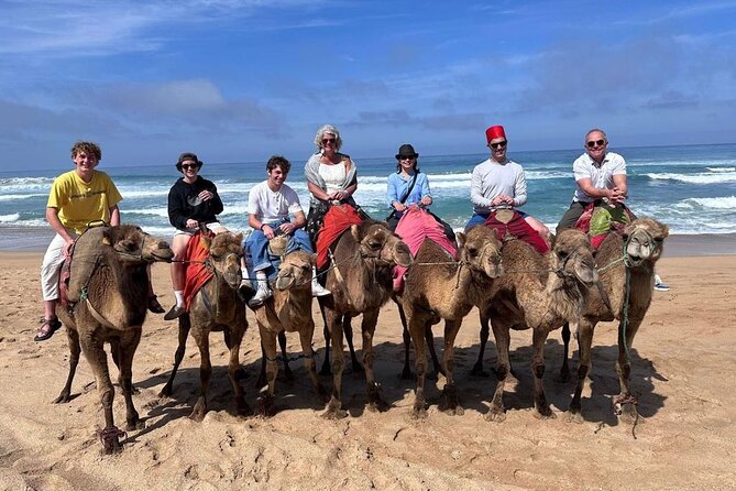 Tangier Luxury Private Guided Day Tour from Cadiz All Inclusive - Royal Tangier and the green Parc Perdicaris